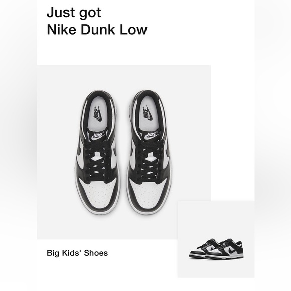 Nike Dunk Low (GS) - Picture 1 of 3